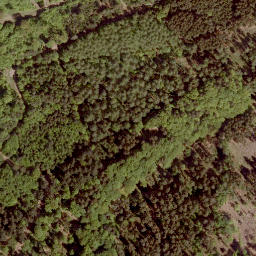Satellite imagery of Floh, DE