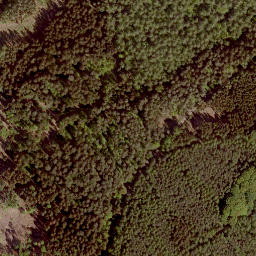 Satellite imagery of Floh, DE