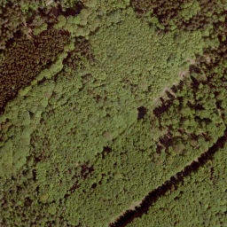 Satellite imagery of Floh, DE