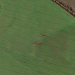 Satellite imagery of Steinberg, DE