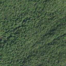 Satellite imagery of Leading Hill, CA