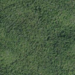 Satellite imagery of Leading Hill, CA