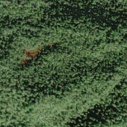 Satellite imagery of Mount Ellis, CA