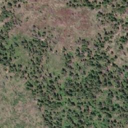 Satellite imagery of Pearson Ridge, CA