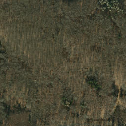 Satellite imagery of Großer Steinberg, DE