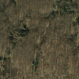 Satellite imagery of Großer Steinberg, DE
