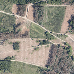 Satellite imagery of Geiernest, DE