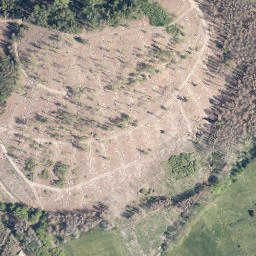 Satellite imagery of Geiernest, DE