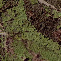 Satellite imagery of Tauschenberg, DE