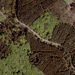 Satellite imagery of Tauschenberg, DE