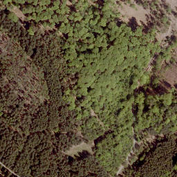 Satellite imagery of Tauschenberg, DE