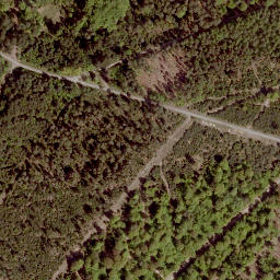 Satellite imagery of Floh, DE