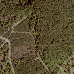 Satellite imagery of Floh, DE