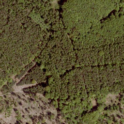 Satellite imagery of Floh, DE