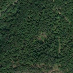 Satellite imagery of Hirschstein, DE
