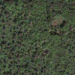 Satellite imagery of Zeisigberg, DE