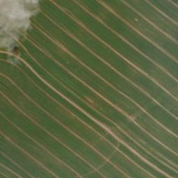 Satellite imagery of Krumme Höhe, DE