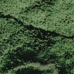 Satellite imagery of Mount Ellis, CA