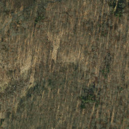 Satellite imagery of Großer Steinberg, DE
