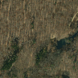 Satellite imagery of Großer Steinberg, DE