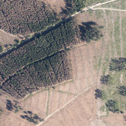 Satellite imagery of Dörnberg, DE