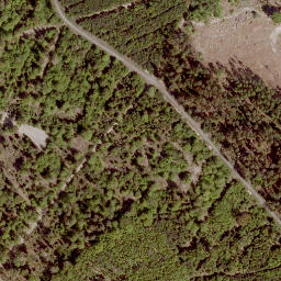 Satellite imagery of Floh, DE