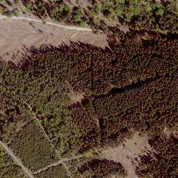 Satellite imagery of Floh, DE