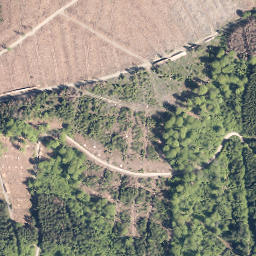 Satellite imagery of Dörnberg, DE