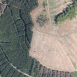 Satellite imagery of Dörnberg, DE