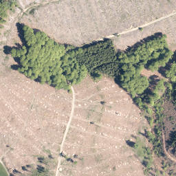 Satellite imagery of Dörnberg, DE