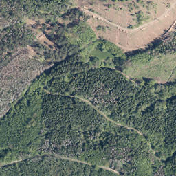 Satellite imagery of Entenberg, DE