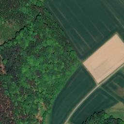 Satellite imagery of Dammberg, DE