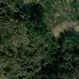 Satellite imagery of Wilisch, DE