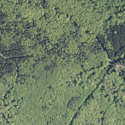 Satellite imagery of Höhwegskopf, DE