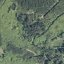 Satellite imagery of Höhwegskopf, DE