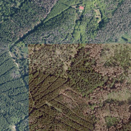 Satellite imagery of Buhlberg, DE