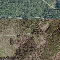 Satellite imagery of Entenberg, DE
