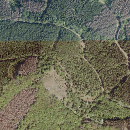 Satellite imagery of Entenberg, DE