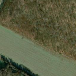 Satellite imagery of Wilisch, DE
