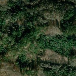 Satellite imagery of Wilisch, DE