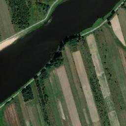 Satelita