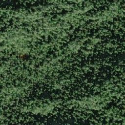 Satellite imagery of Boone Point, CA