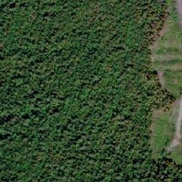 Satellite imagery of Tsalkom Mountain, CA
