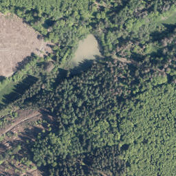 Satellite imagery of Höhwegskopf, DE