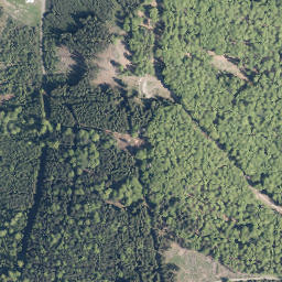 Satellite imagery of Wartholzkopf, DE