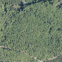 Satellite imagery of Wartholzkopf, DE