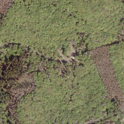 Satellite imagery of Entenberg, DE