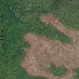 Satellite imagery of Mount Ashe, CA