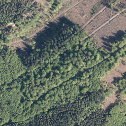 Satellite imagery of Höhwegskopf, DE