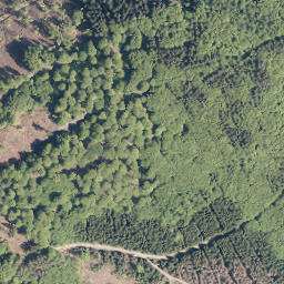 Satellite imagery of Höhwegskopf, DE